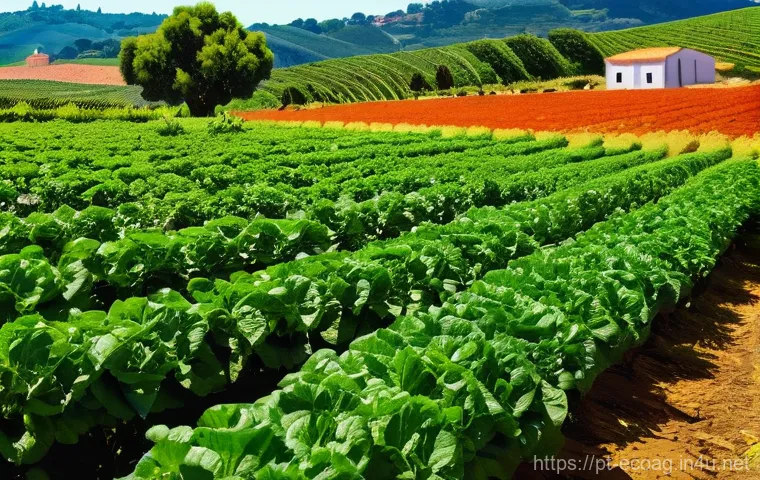 친환경농업기술자 자격증 취득 후 진로 탐색 - Here are three detailed image prompts in English, carefully crafted to adhere to all guidelines, ref...