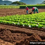 친환경농업 자격증 시험 준비 팁 - A vibrant sustainable farm scene in Brazil showcasing diverse crop rotation fields with lush green p...