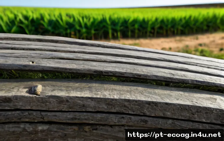 Como negociar salário em agricultura sustentável: critérios para avaliar propostas e benefícios 4 친환경농업기술자 연봉 협상 시 유용한 정보 관련 이미지 2